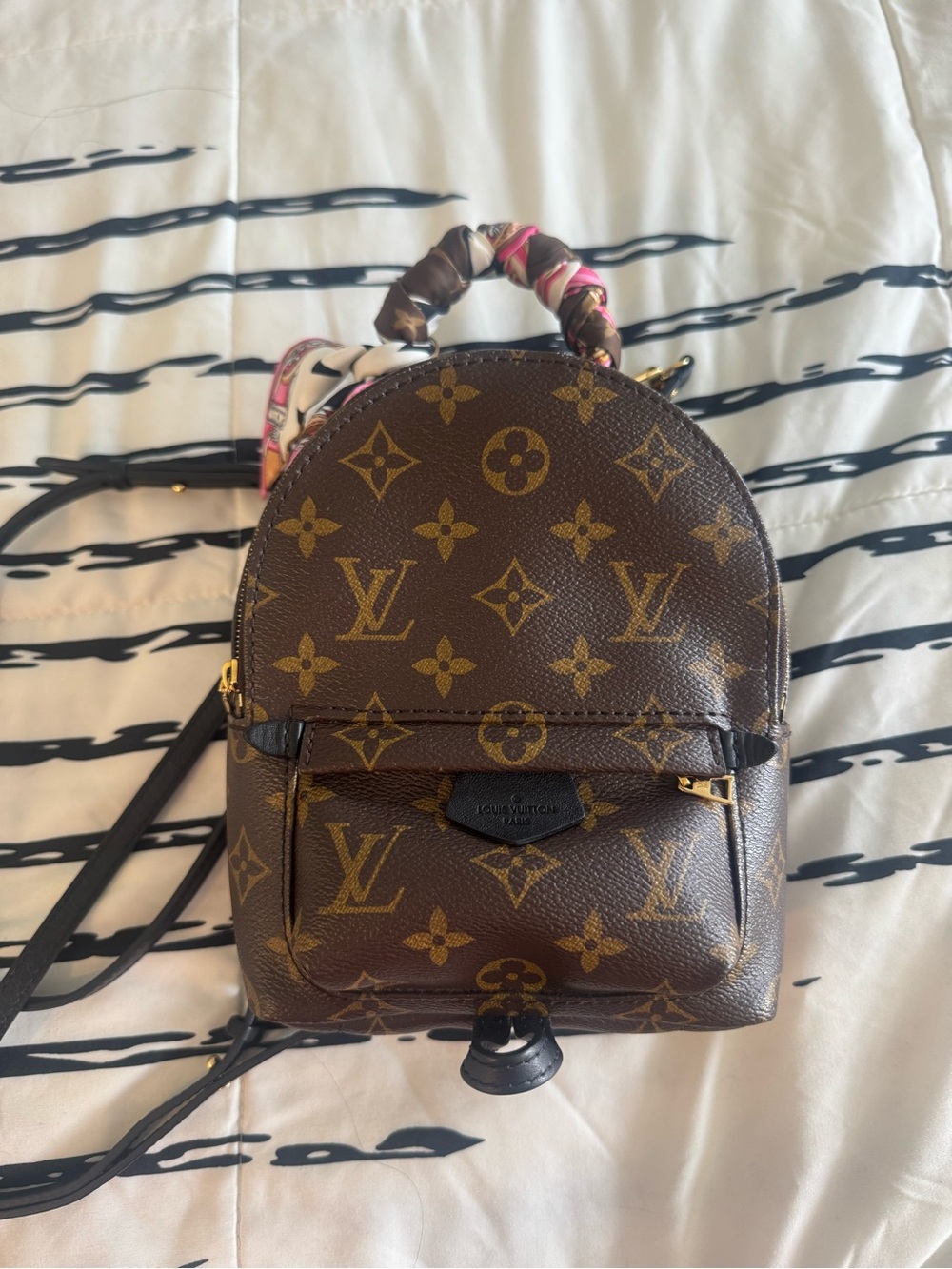 Louis Vuitton Brown Monogram Palm Springs Mini Backpack
